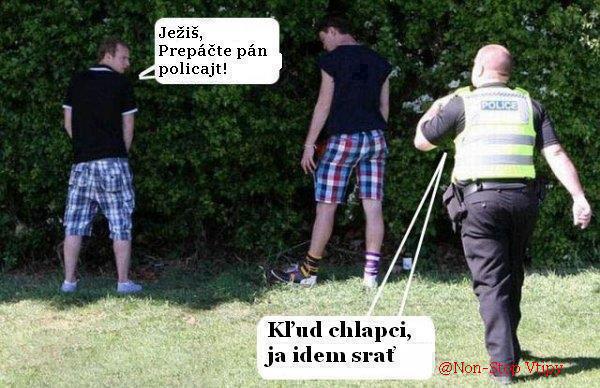 http://pc.poradna.net/file/view/10549-policajt-jpg 