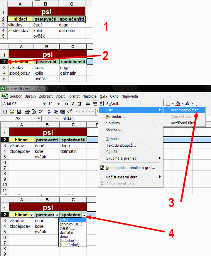 [http://pc.poradna.net/file/view/10579-excel-data-t ridit-gif]