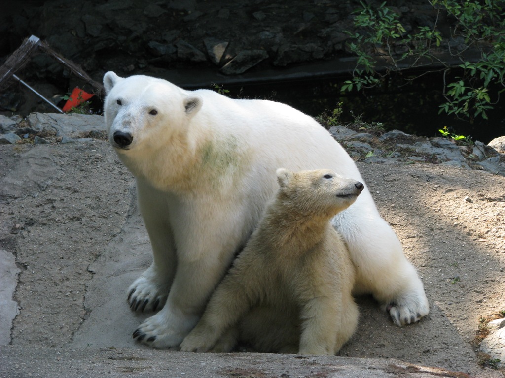 [15002-img-9239-jpg]