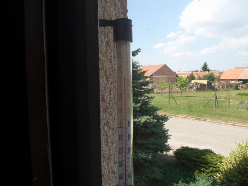 [3716-p1010544-jpg]