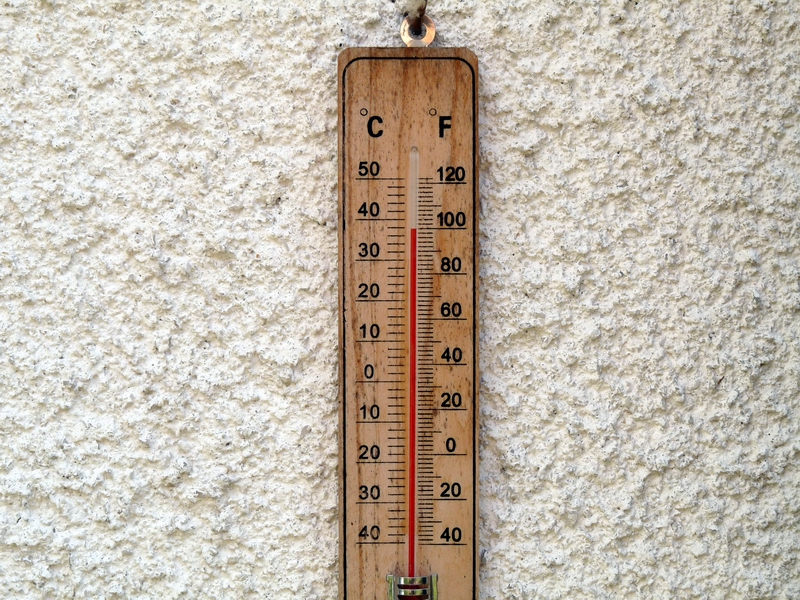 [3717-p1010545-jpg]