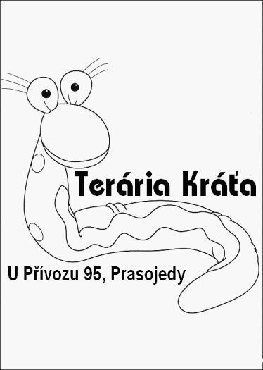 http://pc.poradna.net/file/view/5261-teraria-krata -gif
