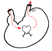 [http://pc.poradna.net/file/view/7591-p9-png]