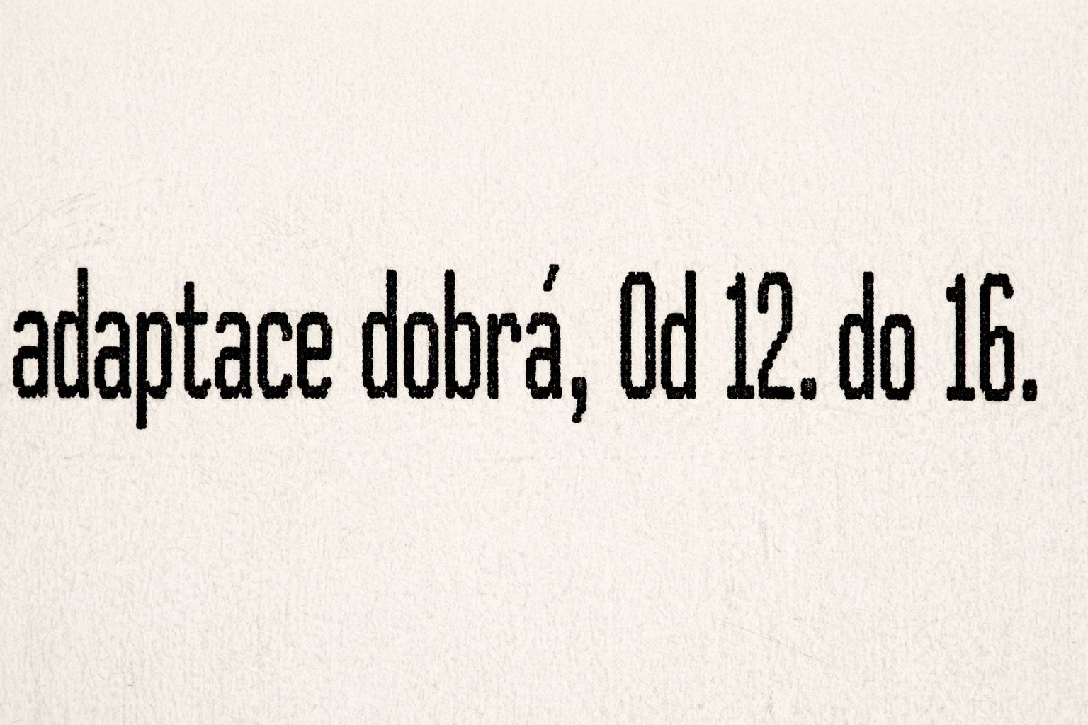 [101093-rekonstrukce-jpg]